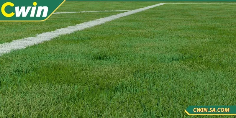 Nắm ngay các chiến thuật CWIN kèo nhà cái chuẩn nhất