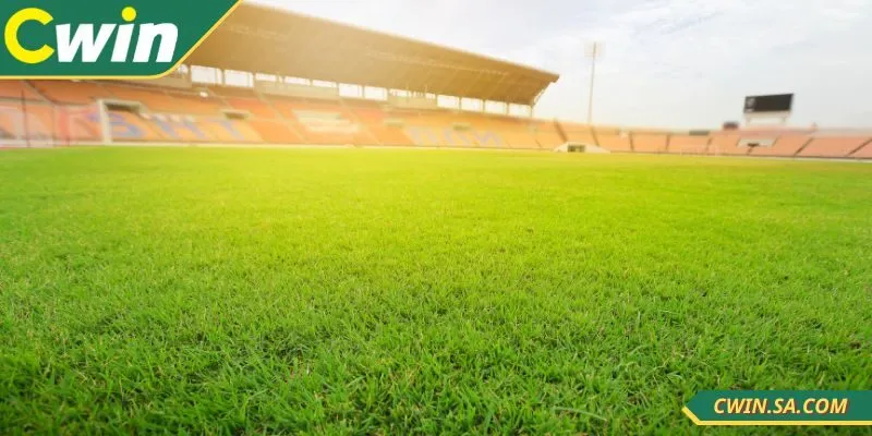 Soi kèo bóng đá CWIN được nhiều người quan tâm